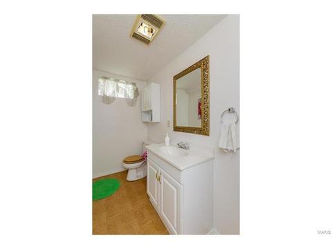 514 Winter Park, O'fallon, MO 63366 photo 38