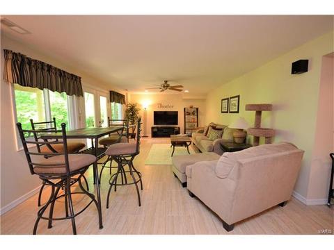 657 Huntley Hts, Ballwin, MO 63021 photo 22