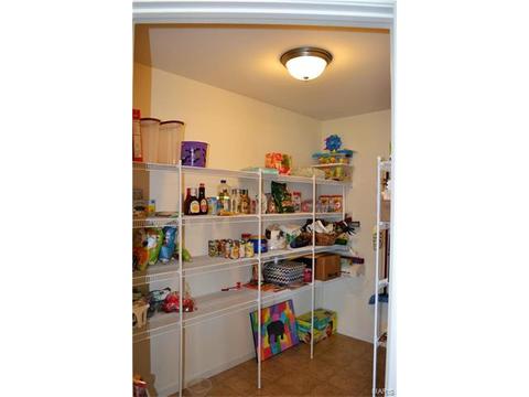 32 Flanders Ct, O'fallon, MO 63366 photo 22