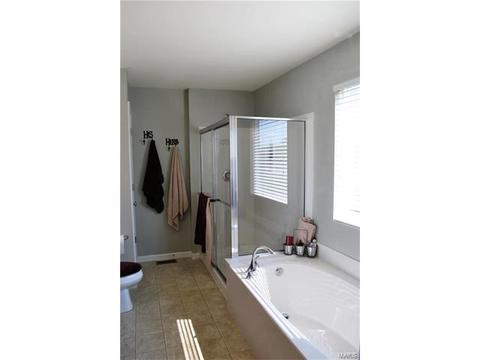 32 Flanders Ct, O'fallon, MO 63366 photo 25