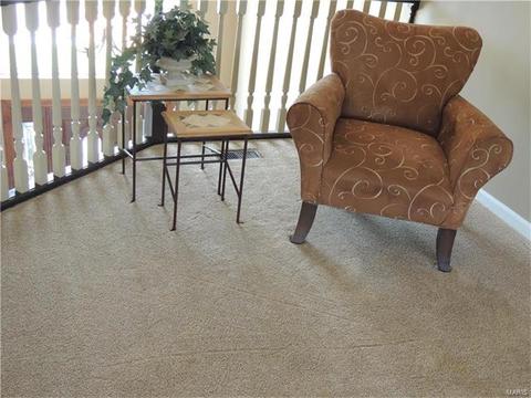 126 Roehampton Ln, Weldon Spring, MO 63304 photo 26