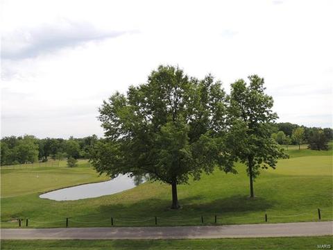 126 Roehampton Ln, Weldon Spring, MO 63304 photo 3