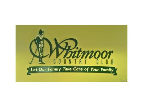 126 Roehampton Ln, Weldon Spring, MO 63304 photo 49
