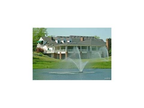 126 Roehampton Ln, Weldon Spring, MO 63304 photo 45