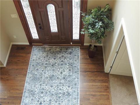 126 Roehampton Ln, Weldon Spring, MO 63304 photo 4