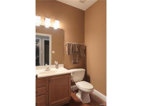 605 Havenhurst Ct, O'fallon, MO 63368 photo 12
