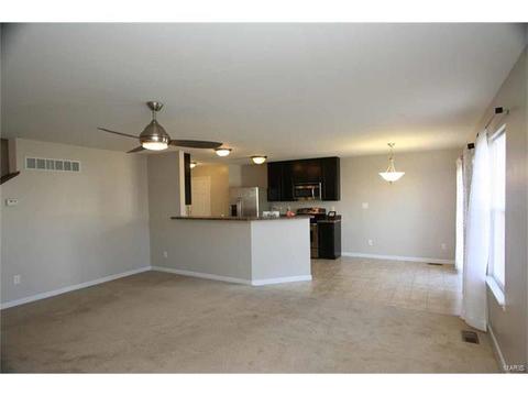 443 Spring Trce, O'fallon, MO 63368 photo 7