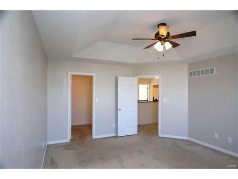 443 Spring Trce, O'fallon, MO 63368 photo 20