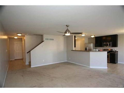 443 Spring Trce, O'fallon, MO 63368 photo 6