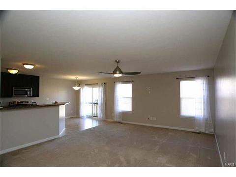 443 Spring Trce, O'fallon, MO 63368 photo 4