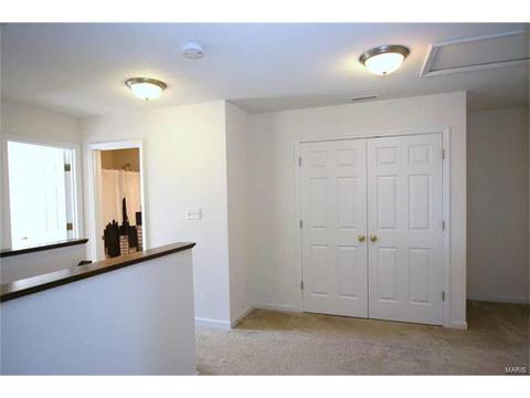 443 Spring Trce, O'fallon, MO 63368 photo 26