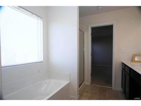 443 Spring Trce, O'fallon, MO 63368 photo 24