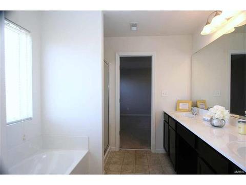 443 Spring Trce, O'fallon, MO 63368 photo 23