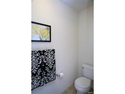 443 Spring Trce, O'fallon, MO 63368 photo 22