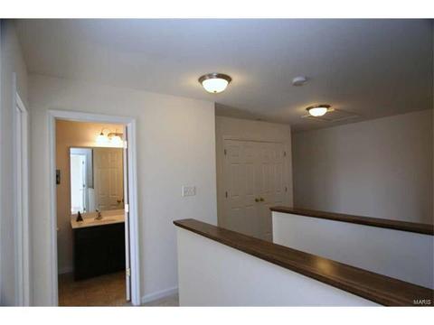 443 Spring Trce, O'fallon, MO 63368 photo 29