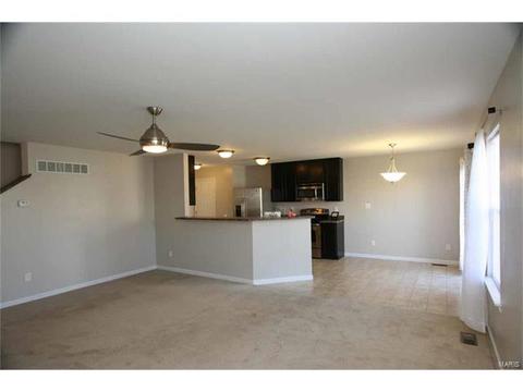 443 Spring Trce, O'fallon, MO 63368 photo 5