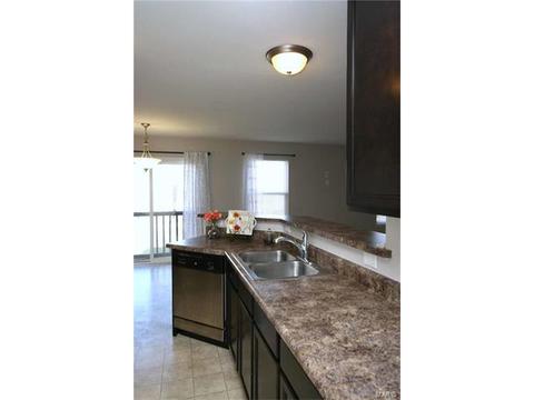 443 Spring Trce, O'fallon, MO 63368 photo 13