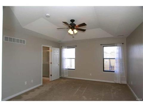 443 Spring Trce, O'fallon, MO 63368 photo 21