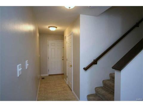 443 Spring Trce, O'fallon, MO 63368 photo 17