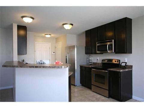 443 Spring Trce, O'fallon, MO 63368 photo 11