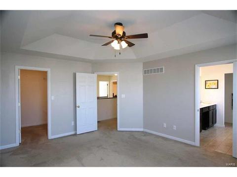 443 Spring Trce, O'fallon, MO 63368 photo 19