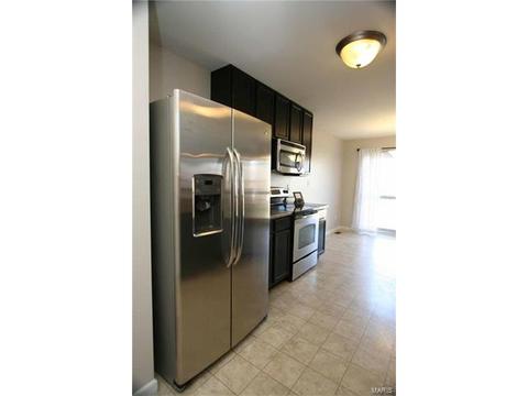 443 Spring Trce, O'fallon, MO 63368 photo 14
