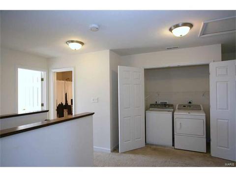 443 Spring Trce, O'fallon, MO 63368 photo 28