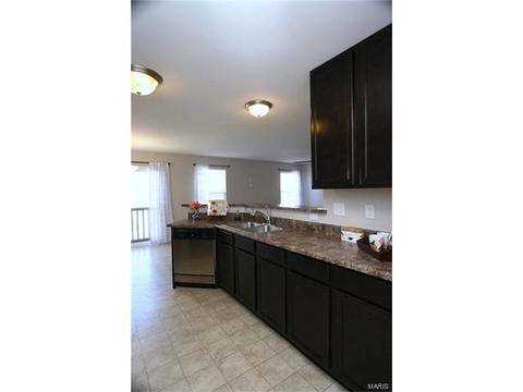 443 Spring Trce, O'fallon, MO 63368 photo 15