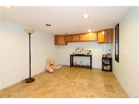 17 Lochhaven Ln, Ballwin, MO 63021 photo 28