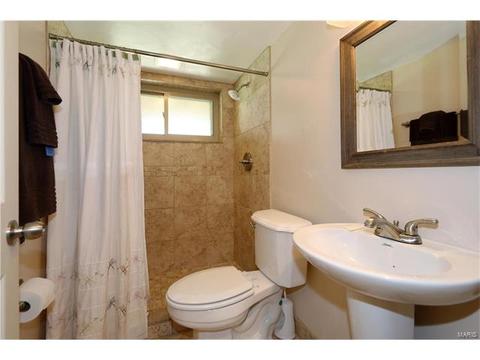 17 Lochhaven Ln, Ballwin, MO 63021 photo 31