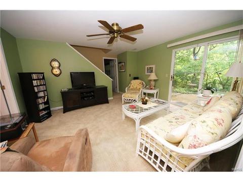 14 Morning Hill Dr, Ballwin, MO 63021 photo 20