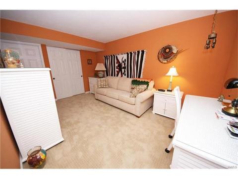 14 Morning Hill Dr, Ballwin, MO 63021 photo 22