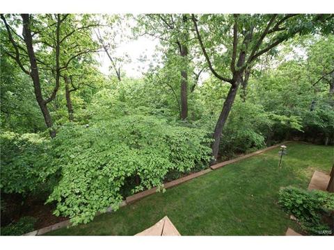 14 Morning Hill Dr, Ballwin, MO 63021 photo 25