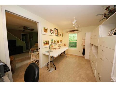 14 Morning Hill Dr, Ballwin, MO 63021 photo 24