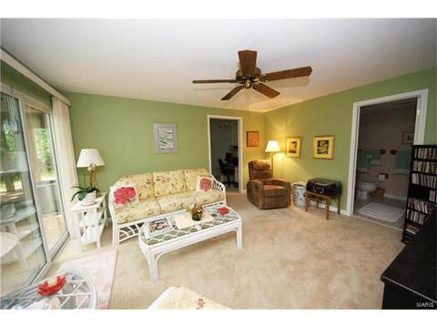 14 Morning Hill Dr, Ballwin, MO 63021 photo 19