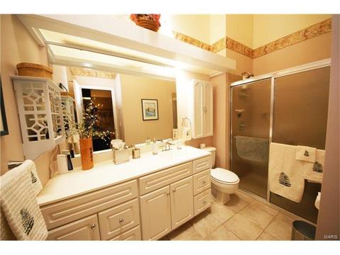 14 Morning Hill Dr, Ballwin, MO 63021 photo 17