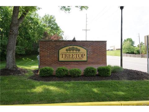 14 Morning Hill Dr, Ballwin, MO 63021 photo 33