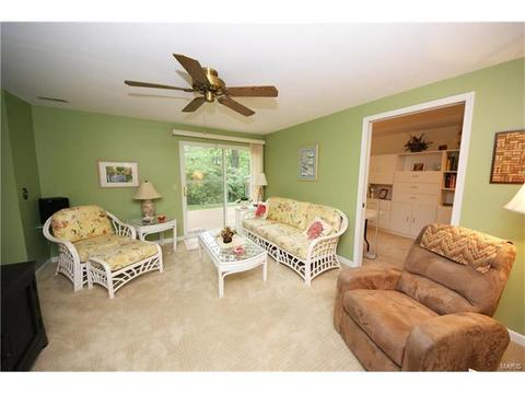 14 Morning Hill Dr, Ballwin, MO 63021 photo 18