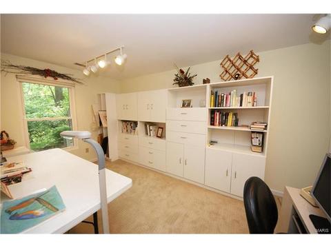 14 Morning Hill Dr, Ballwin, MO 63021 photo 23