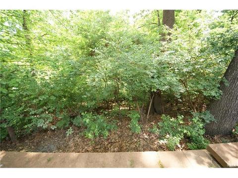 14 Morning Hill Dr, Ballwin, MO 63021 photo 28