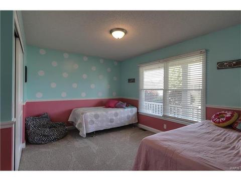 291 England Dr, O'fallon, MO 63366 photo 20