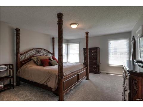 291 England Dr, O'fallon, MO 63366 photo 14
