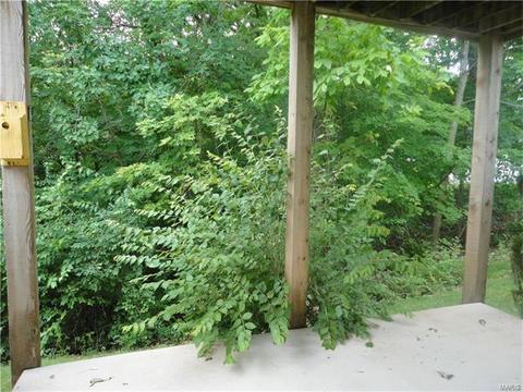 912 Gandolf Way, Eureka, MO 63025 photo 69