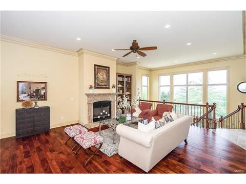 609 Mulberry Grove Ct, Ballwin, MO 63021 photo 18