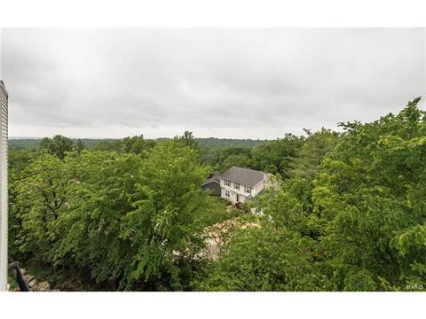 609 Mulberry Grove Ct, Ballwin, MO 63021 photo 86
