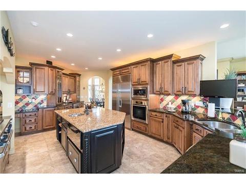 609 Mulberry Grove Ct, Ballwin, MO 63021 photo 22