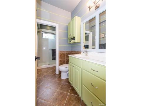 609 Mulberry Grove Ct, Ballwin, MO 63021 photo 63