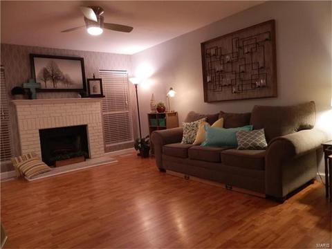 249 Coachman Way, O'fallon, MO 63368 photo 21