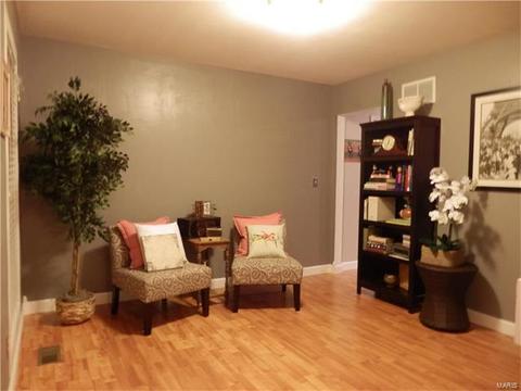 249 Coachman Way, O'fallon, MO 63368 photo 11
