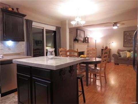 249 Coachman Way, O'fallon, MO 63368 photo 7